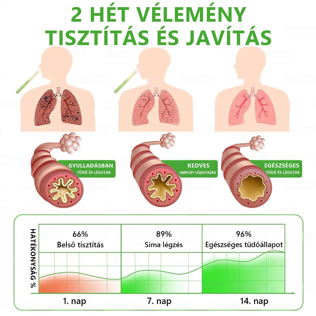 Healrize® 𝐁𝐨𝐭𝐚𝐧𝐢𝐜𝐚𝐥 𝐌𝐮𝐥𝐥𝐞𝐢𝐧 𝐋𝐮𝐧𝐠 𝐂𝐥𝐞𝐚𝐧𝐬𝐞 𝐃𝐢𝐟𝐟𝐮𝐬𝐞𝐫 (👨 𝐊ö𝐡ö𝐠é𝐬, 𝐭𝐨𝐫𝐨𝐤𝐠𝐲𝐮𝐥𝐥𝐚𝐝á𝐬, 𝐥é𝐠𝐬𝐳𝐨𝐦𝐣, 𝐯á𝐥𝐚𝐝é𝐤𝐤é𝐩𝐳ő𝐝é𝐬, 𝐨𝐫𝐫𝐝𝐮𝐠𝐮𝐥á𝐬, 𝐡ö𝐫𝐠𝐡𝐮𝐫𝐮𝐭, 𝐚𝐥𝐥𝐞𝐫𝐠𝐢á𝐬 𝐭ü𝐧𝐞𝐭𝐞𝐤, 𝐭ü𝐝ő𝐩𝐚𝐧𝐚𝐬𝐳𝐨𝐤)